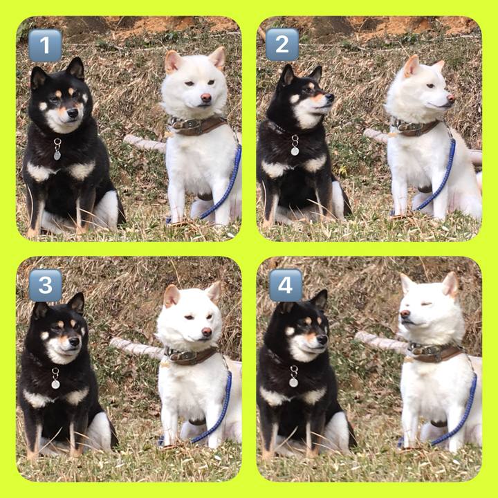 Df6294bb e16b 45a4 b2a2 6a9c4108253a 1519127151459