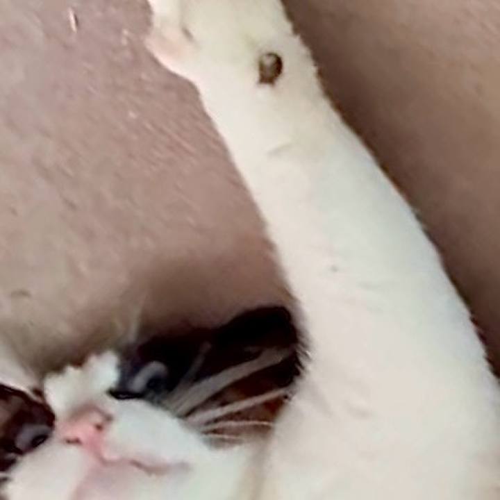 Df62c7ca df47 4918 b49f 60c47397801e 1750386283871