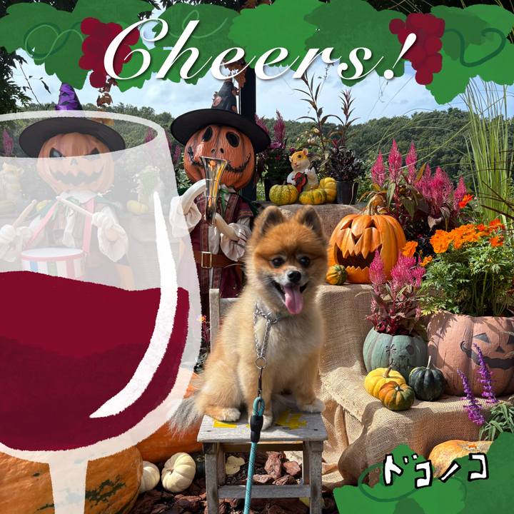 Df62e252 af71 4cdb 9cbf 20ebdca5f0ff 1762096187040