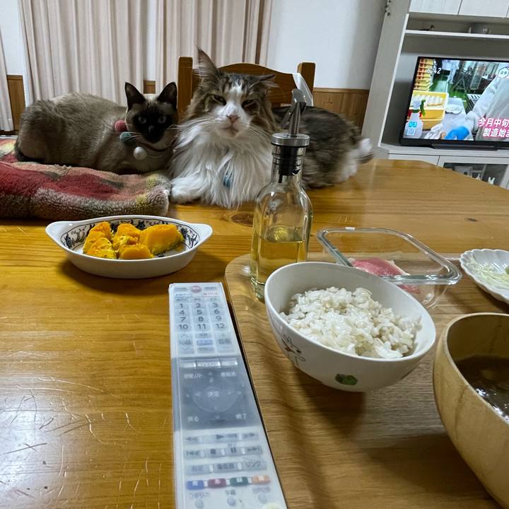 Df62f798 b625 4b4d a70a a0b52da8954c 1732527832889