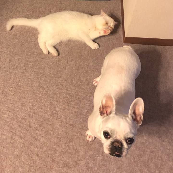 Df6305db 119c 4274 926f 11ee35827579 1555590772970