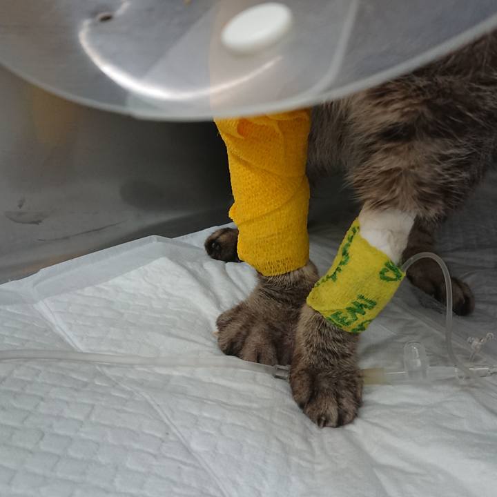 Df631a88 19e7 43f4 86cb 8d5ade88d5e3 1585985054790