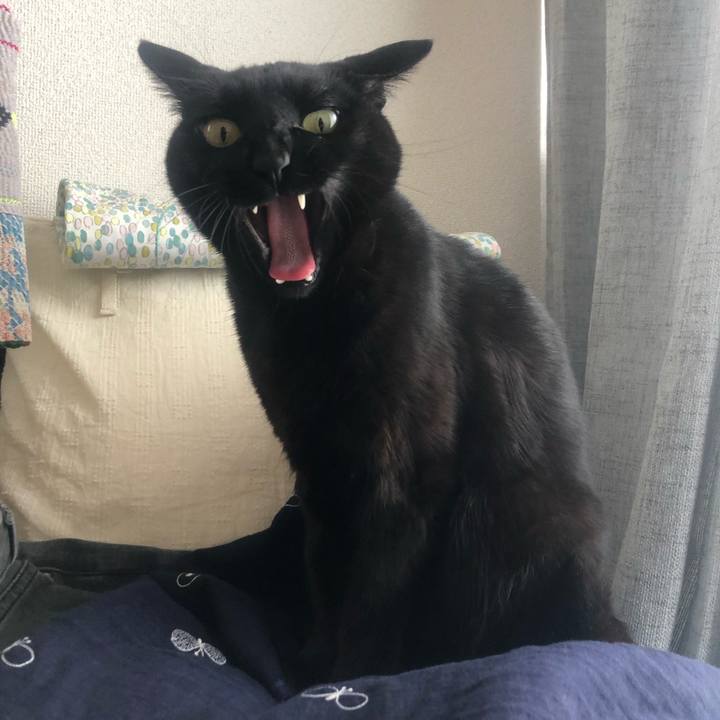 Df6354ef a673 4aab 9ecb 7823f45b12c2 1615511175991