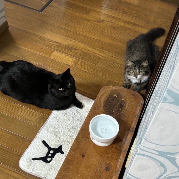 Df6376e2 ef3c 4577 bdf2 bca70fa6e7ac 1731050938229