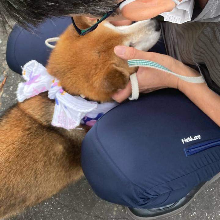 Df6380df 819d 4c21 a9d1 5bb2ae3adbd9 1753339207401