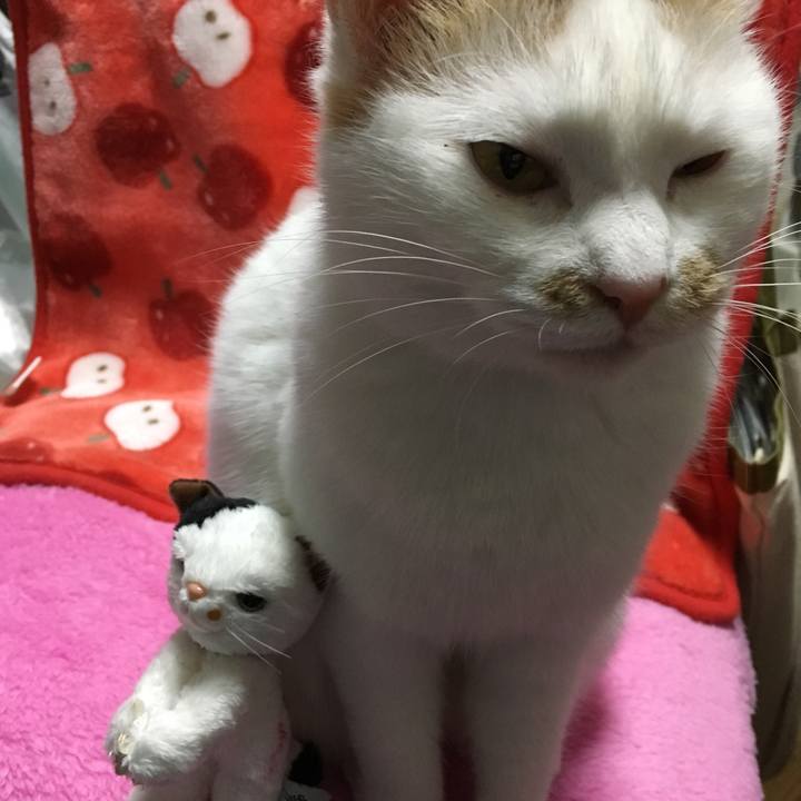 Df63853a 6d0f 4a95 89e8 3df781b19100 1514034733926