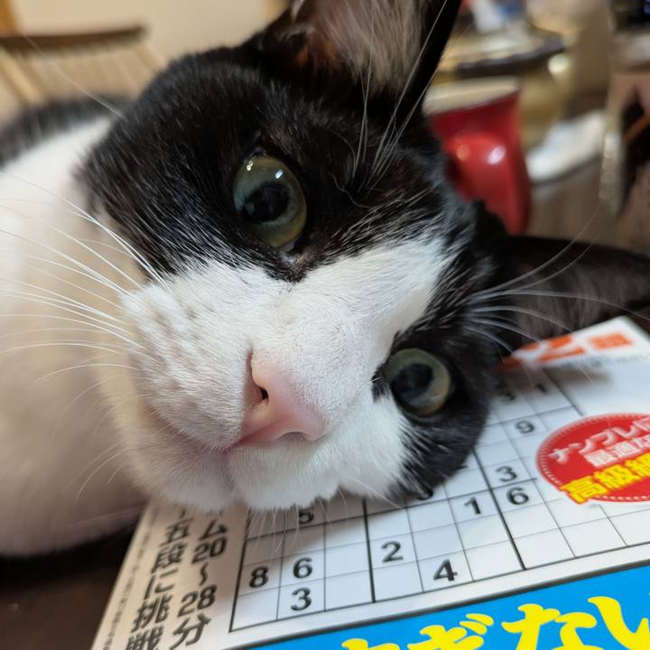 Df63c31b 6a35 49b2 bb58 e49e0867368b 1758363430137