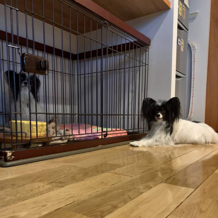 Df63e5c0 8418 43dd b2e5 6392af24700c 1618797956452