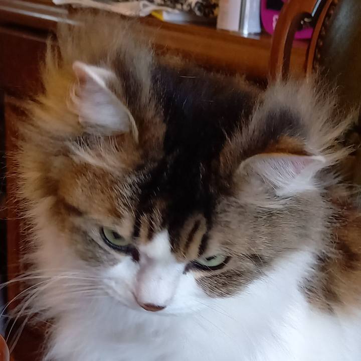 Df63e5f6 d2d9 4868 8bd3 cc7b1b7a60e3 1645877898002