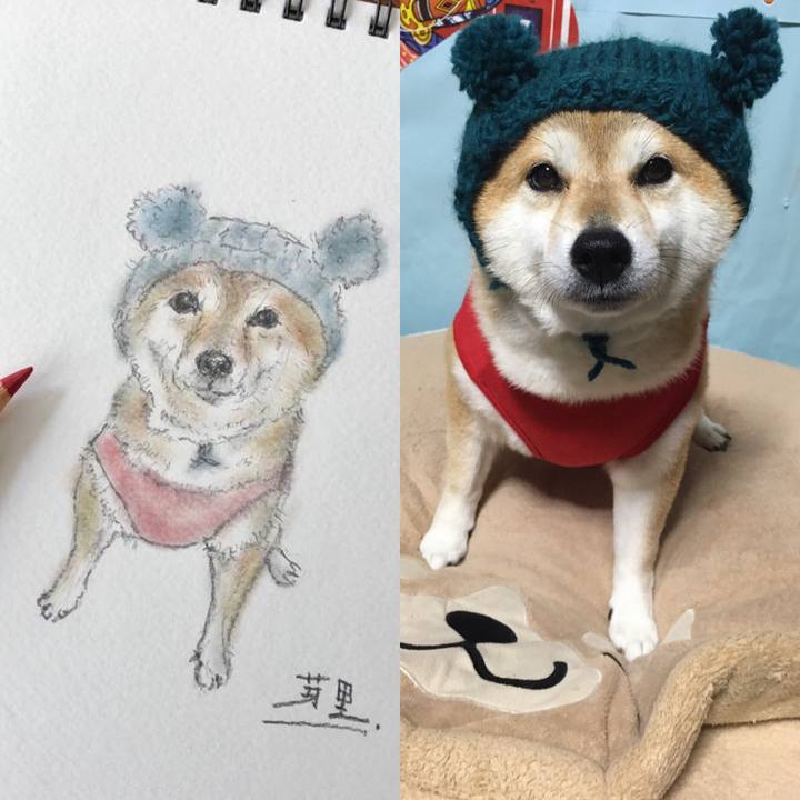 Df63fff8 3399 4ca4 bc4d d4a643b93674 1610861303115