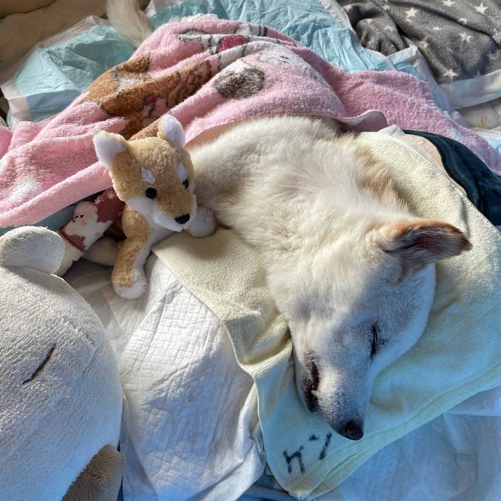 Df640dfc a84b 4a1b b9c2 3aee109eba92 1688869352923