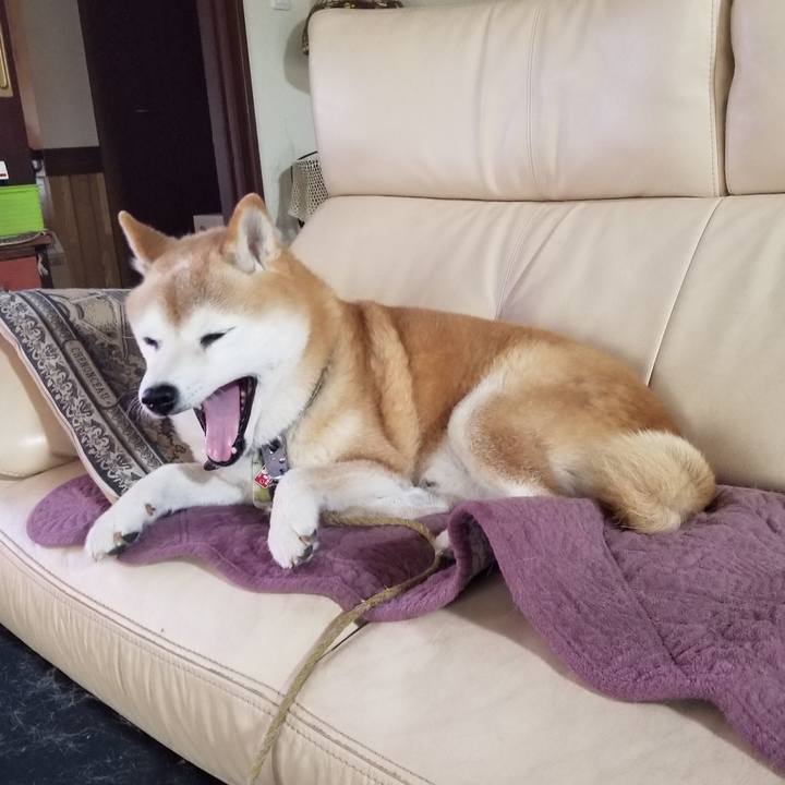 Df641147 2c7a 4df2 8ba7 f8a5b238966c 1698711369437