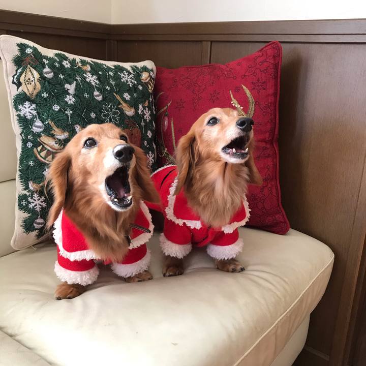 Df64425e eaeb 4b03 a260 76125b533206 1577014622430