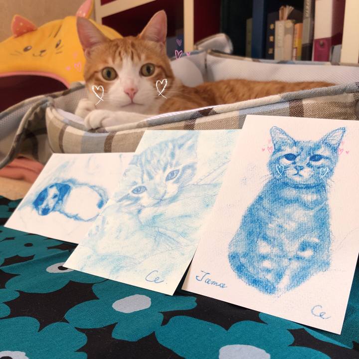 Df645b97 1e2a 4d8d ad9a 2104204755a9 1562388711671