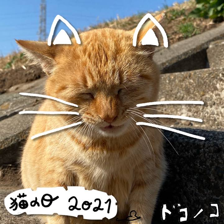 Df648528 7416 44ce a475 3a1bcf35ceb2 1613994776528