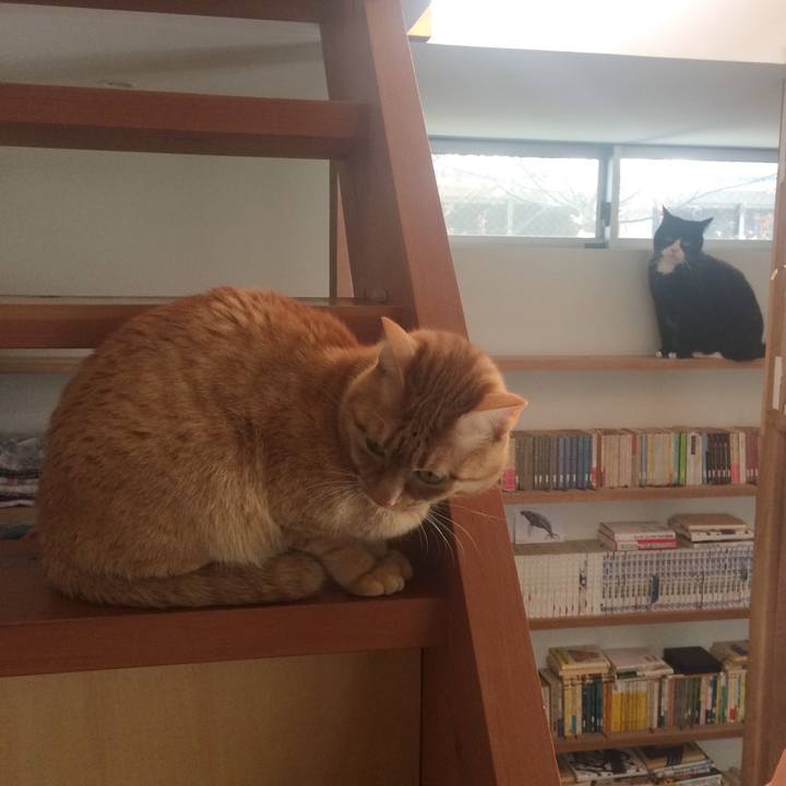 Df649a2a db06 45d2 947b aa5f7456ef3d 1520032437246