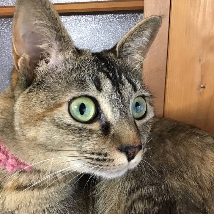 Df64ee1c 5706 4753 8652 3d138a6a721a 1592554537375