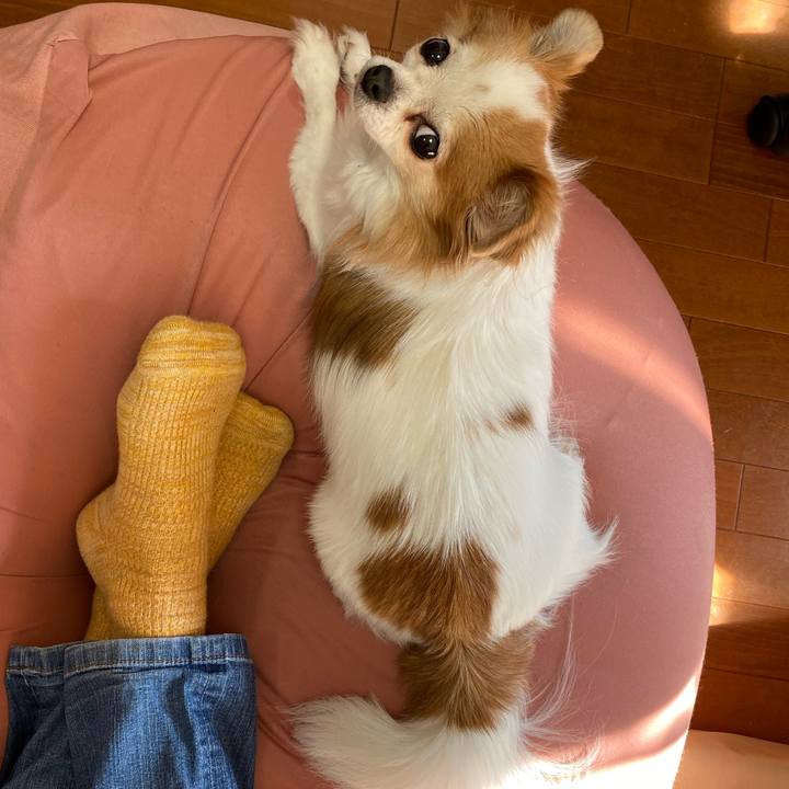 Df651dbc d94a 4120 b9af e46e31b6b7f6 1578032617763