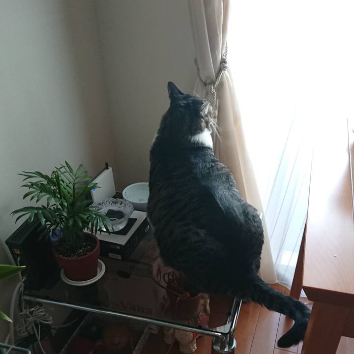 Df65226b 38ef 4902 bed4 c2255aecc498 1544483451987