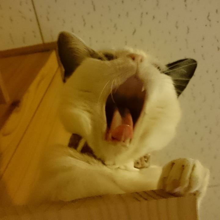 Df653c31 8953 46d9 9154 fa87595146f9 1524986015910