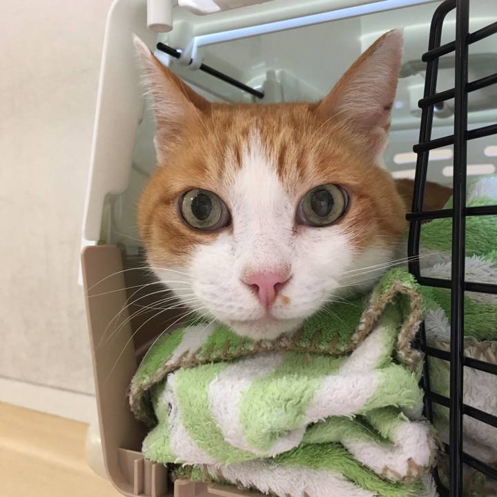 Df6543c0 d36d 4446 b62d 9720176efbf0 1573720530683