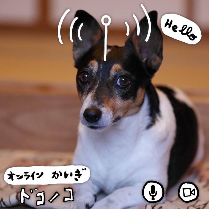 Df654d94 25d2 40e4 990c 2c014945c95e 1592089407209