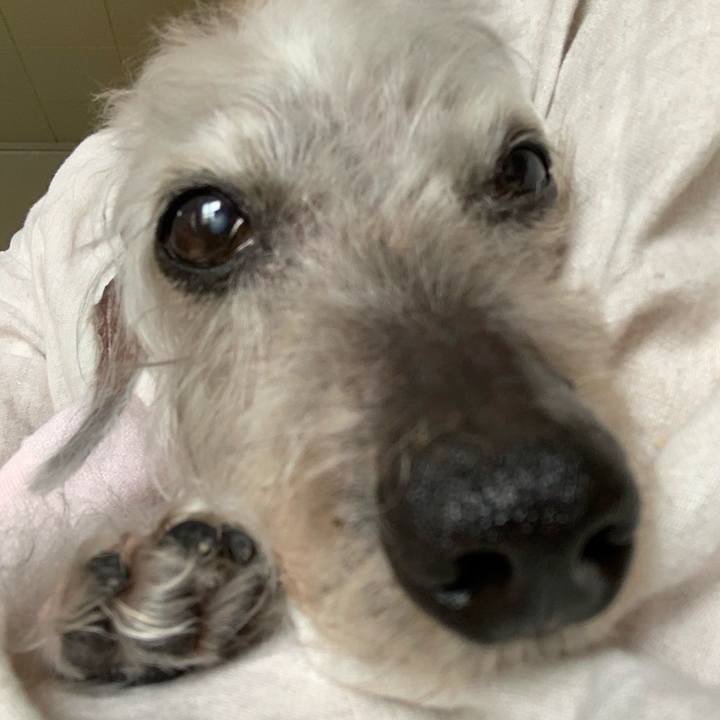 Df656487 b069 4479 888a 330645aec048 1602746809965