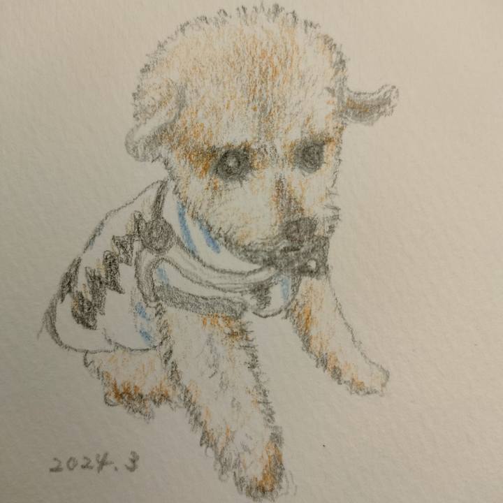 Df65b598 0c53 4faa 84bb 205145be13d1 1711694915249