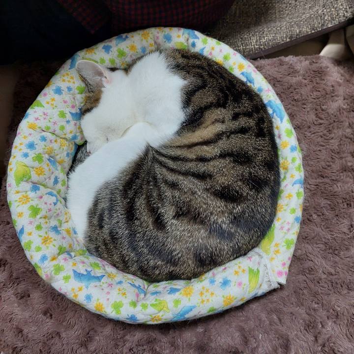 Df65d09f 85d6 40cb b365 29e557cfafbb 1636065633889