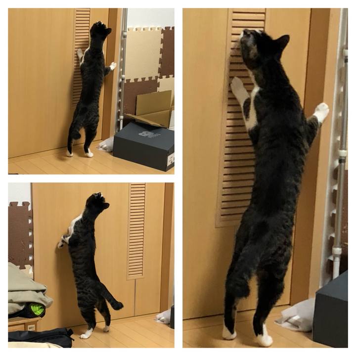 Df65e563 f84f 4d26 a29b e0cb56cd7513 1523635811742