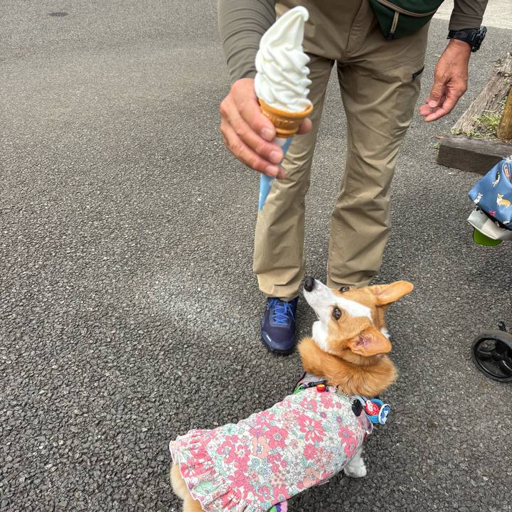 Df660ef8 40f1 4c63 bc4e 585a94e978d9 1760344980815