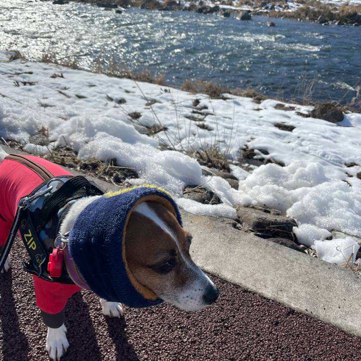 Df663508 3836 49ef 89f2 a0c3ef4f138f 1739520711974