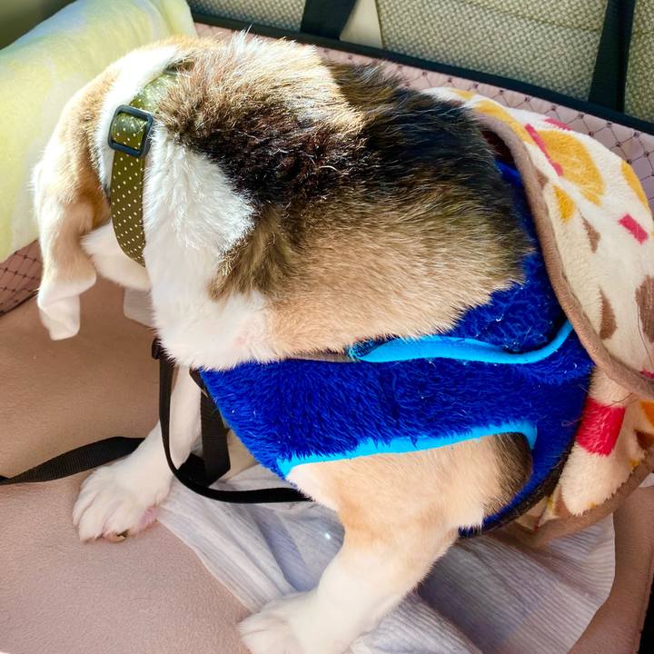 Df6650dc 5f55 4ad6 9c3f 5b1e1031b672 1642745297173