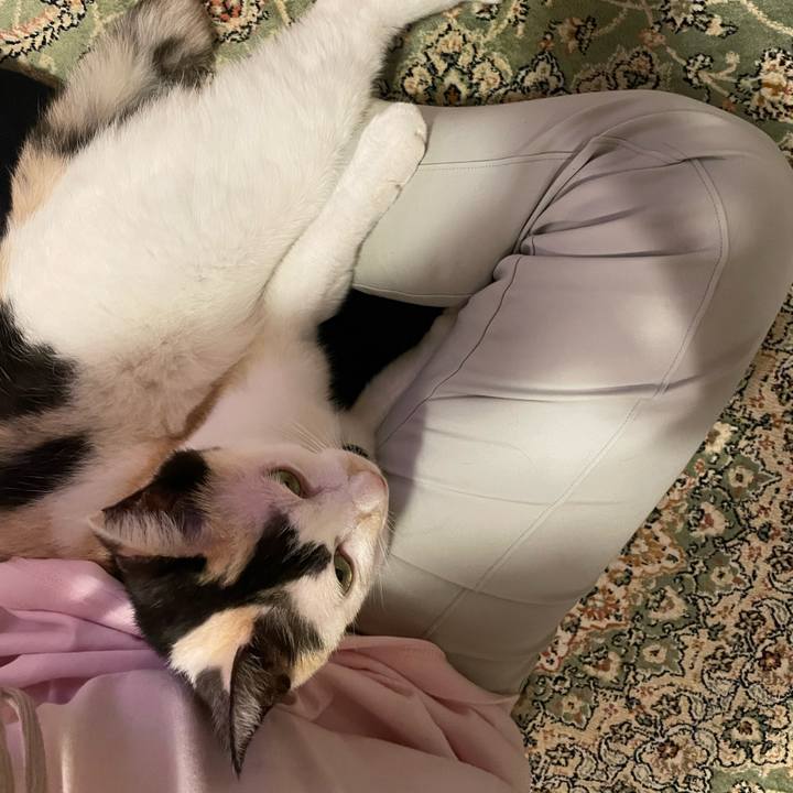 Df66a9ca cecc 44e5 9b4f 1724ebac4a72 1757902336695