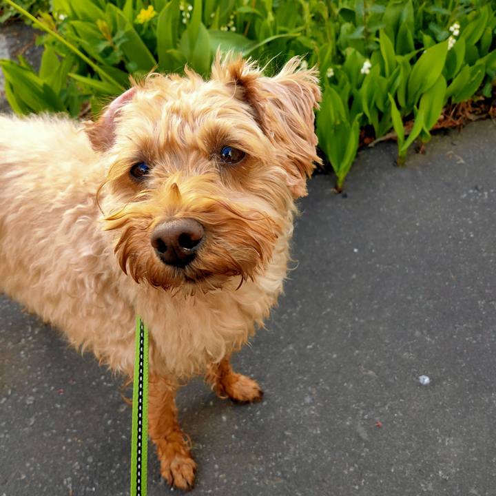 Df66acdf 4cb0 43fb 84f1 20a333cdac7a 1590620592347