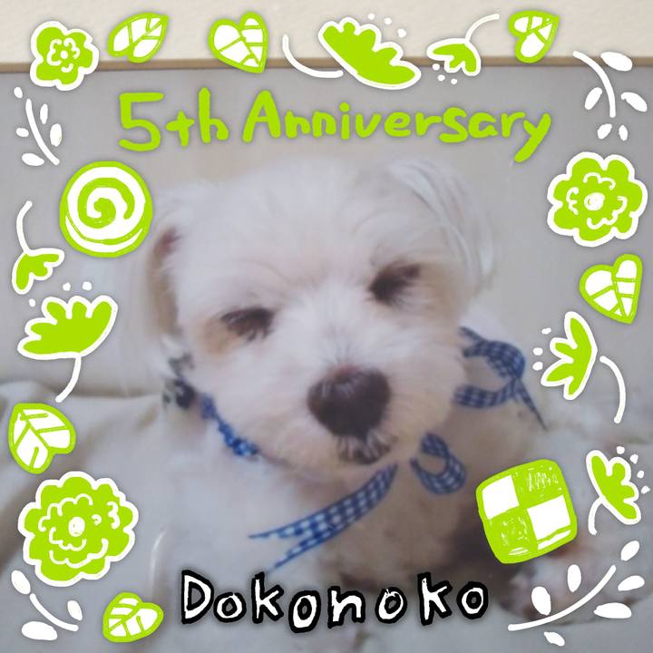 Df66c47a c8e3 4f26 93ad b6ea44cece7e 1622865315589