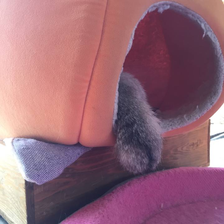 Df66cf27 4873 41d9 97f1 43aedab791fc 1538044266989