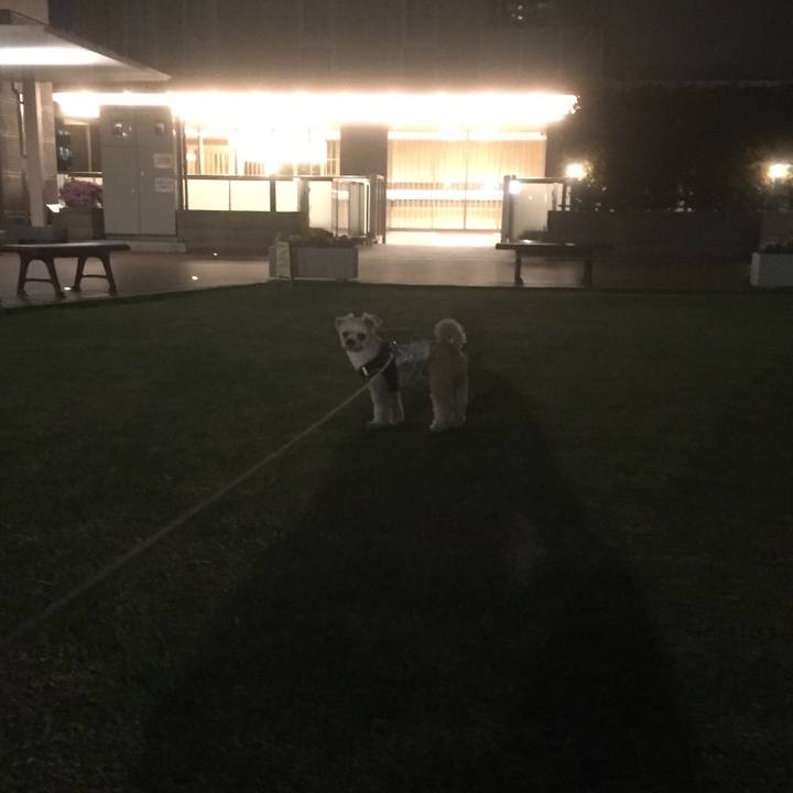 Df66e9b1 2f3f 4493 95e6 b0c7ed7764dc 1557403808587