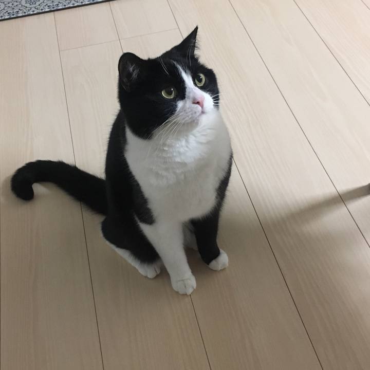 Df66ed28 856e 4c59 9391 298e0d33cdd0 1584444450537