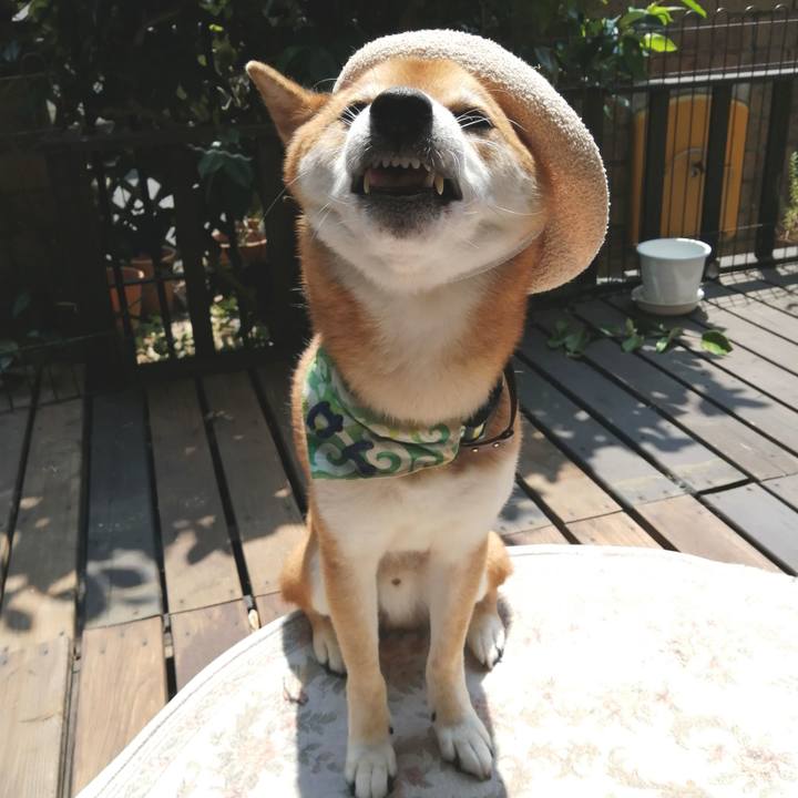 Df66f422 cf6c 4e1a 89d8 8a38f30f7289 1596511719240