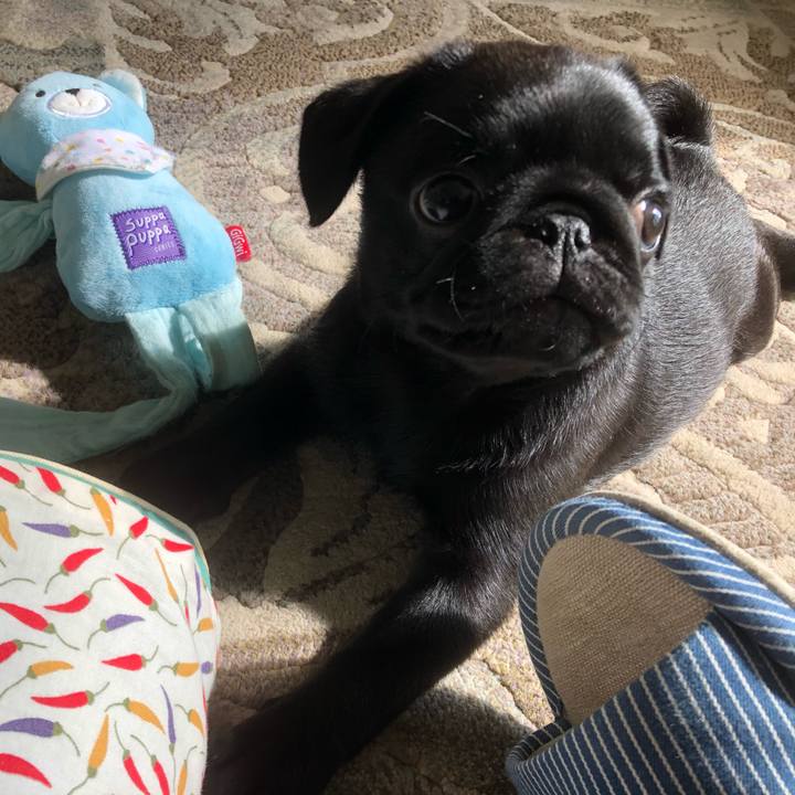 Df66fbd9 ec6e 4c72 8f78 1515a6fc15fc 1587684677108