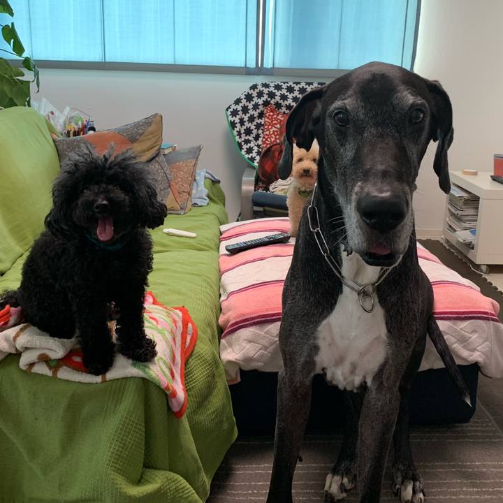 Df670951 9898 45b7 8998 82b2a64c885a 1597879049969