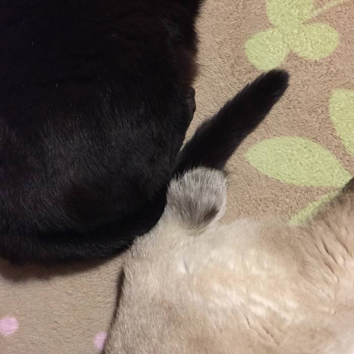 Df6736b6 eb6c 4230 82fc d3d5a44427ea 1548328091081