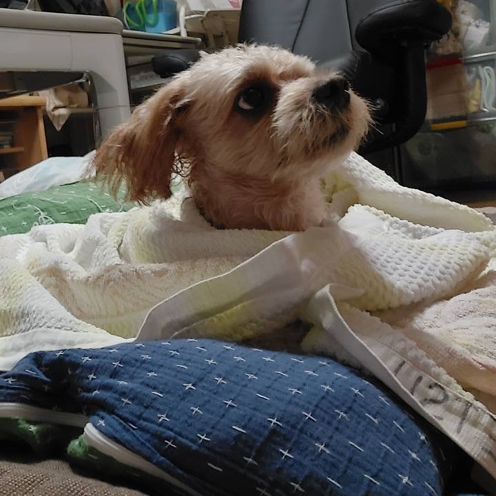 Df67397c fc77 4aaa b4dd 565fca14a866 1631965888205