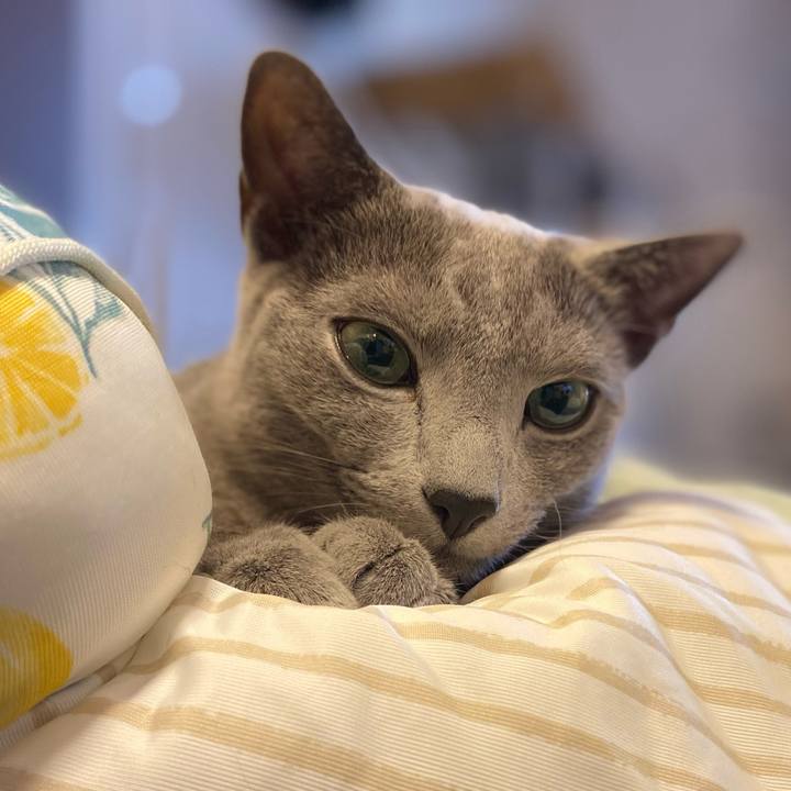 Df6743f5 1225 45c6 91d4 254ea1cb8cd4 1654557274214