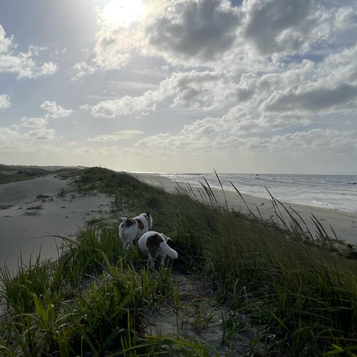 Df679be5 c0d1 4786 924b aeefa49cc756 1759738954192