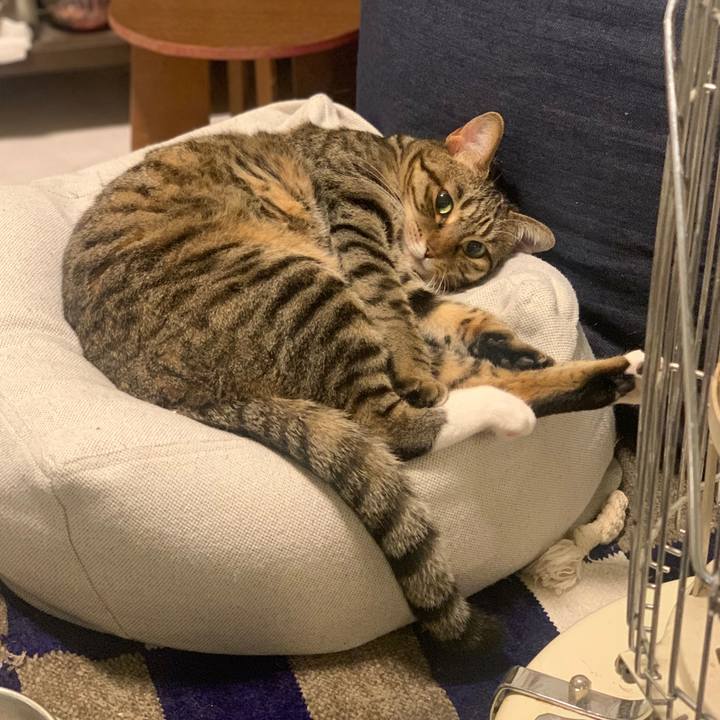 Df67df85 26b2 4401 b8e8 ea46fb11ba95 1766502931236