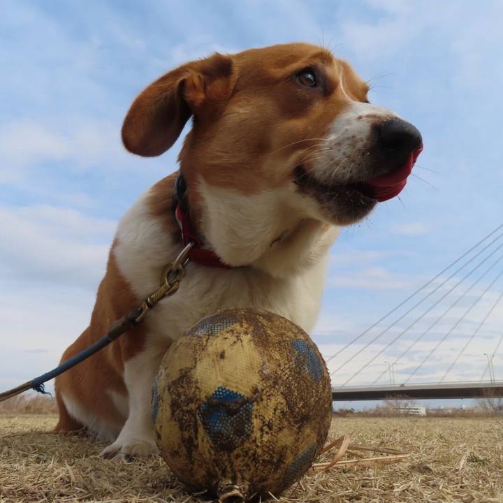 Df67e36e 615c 49a6 8c9c 60949da75116 1645324422490