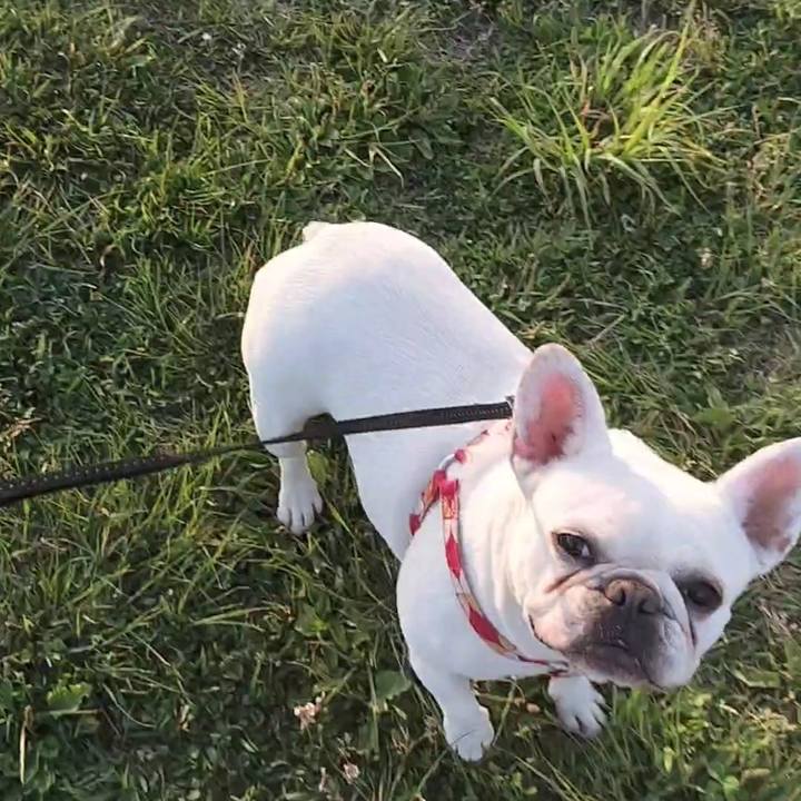 Df67e60b ad52 4fdf a48b 73f74d5d3f0c 1685007685928