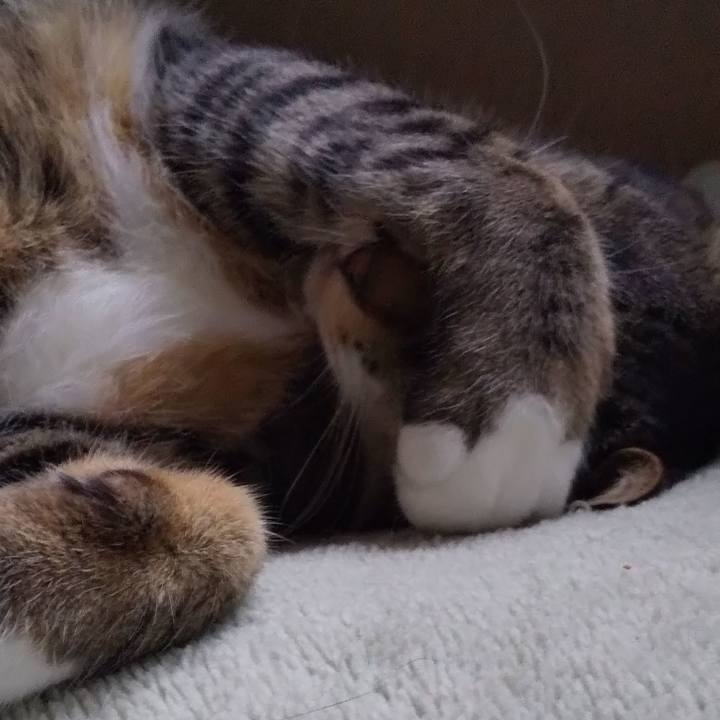 Df67fb61 2750 4256 a104 7e7a310aa556 1650962586919